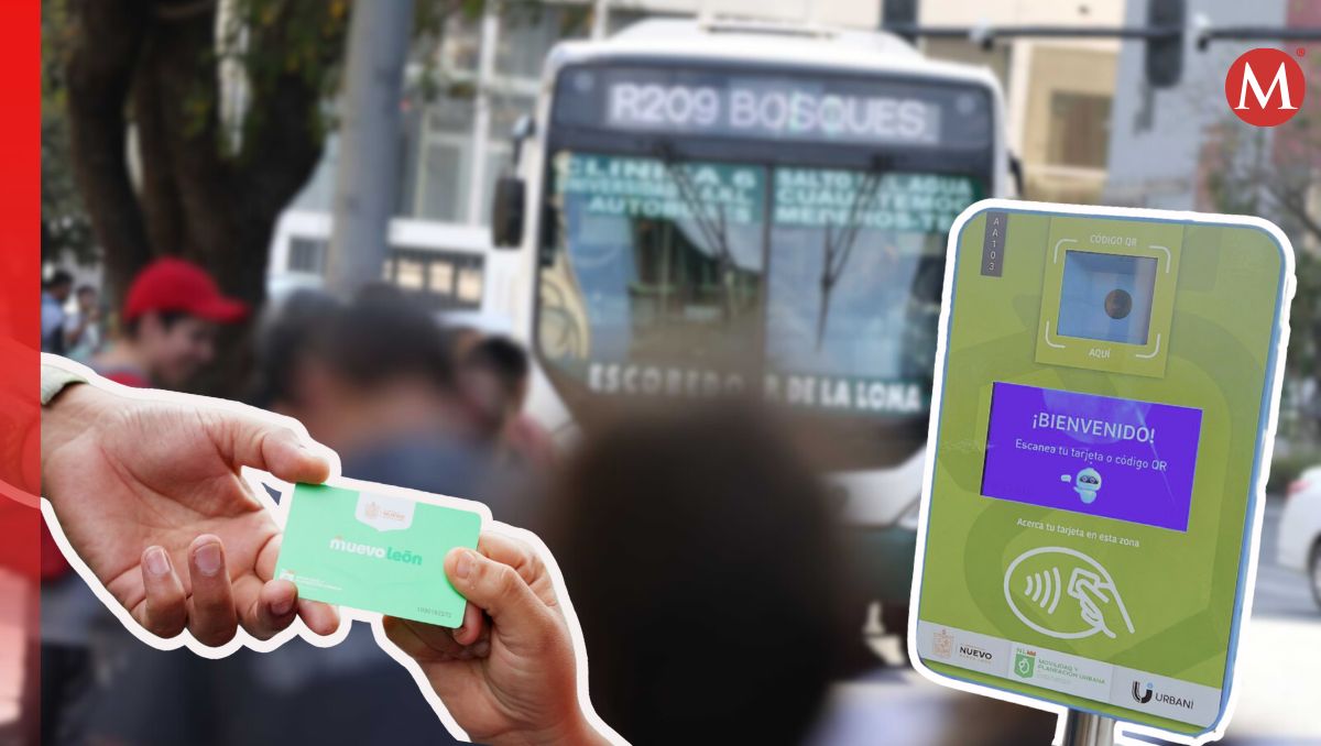 La ruta 209 y 217 ya no aceptarán pago con Tarjeta Feria / Especial.