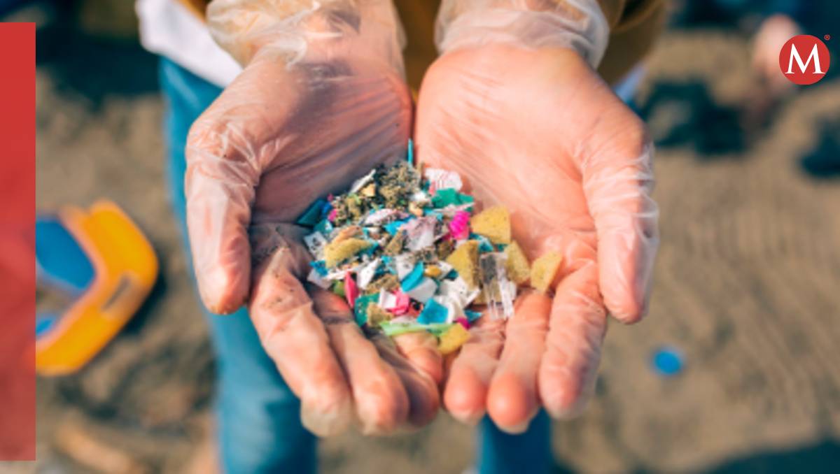 Los microplásticos son más comunes de lo que te imaginan en los alimentos