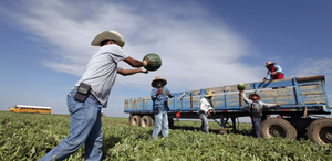 Empresarios temen deportaciones masivas ante posible regreso de Trump | Agencia AP