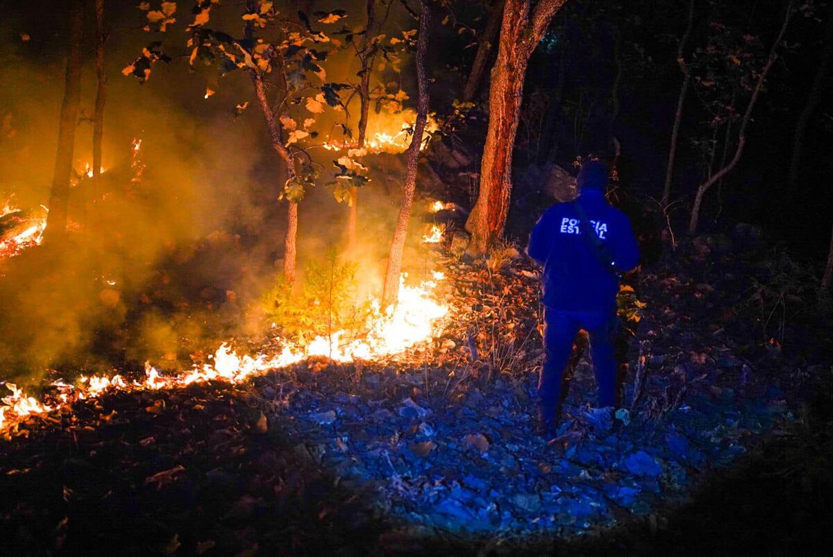 Impacto contra muro causó caída de avioneta en Nayarit | Especial