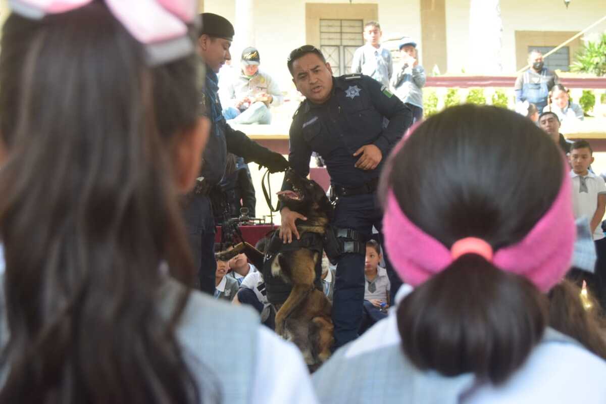 De los 106 elementos policiales en Tepeji, más del 75 por ciento ya cuentan con sus acreditaciones. (Francisco Villeda)