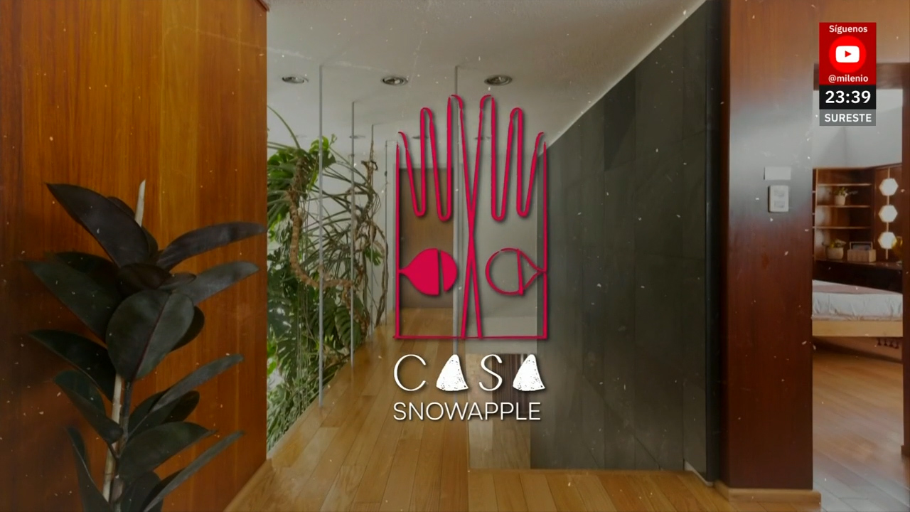 SnowApple, oasis de inspiración para artistas ubicado en la Alcaldía de Coyoacán