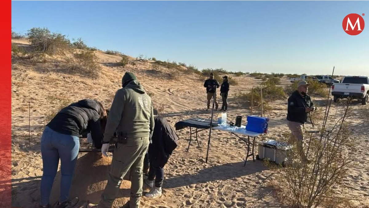 Los trabajaos de búsqueda seguirán para encontrar más restos humanos (Especial)