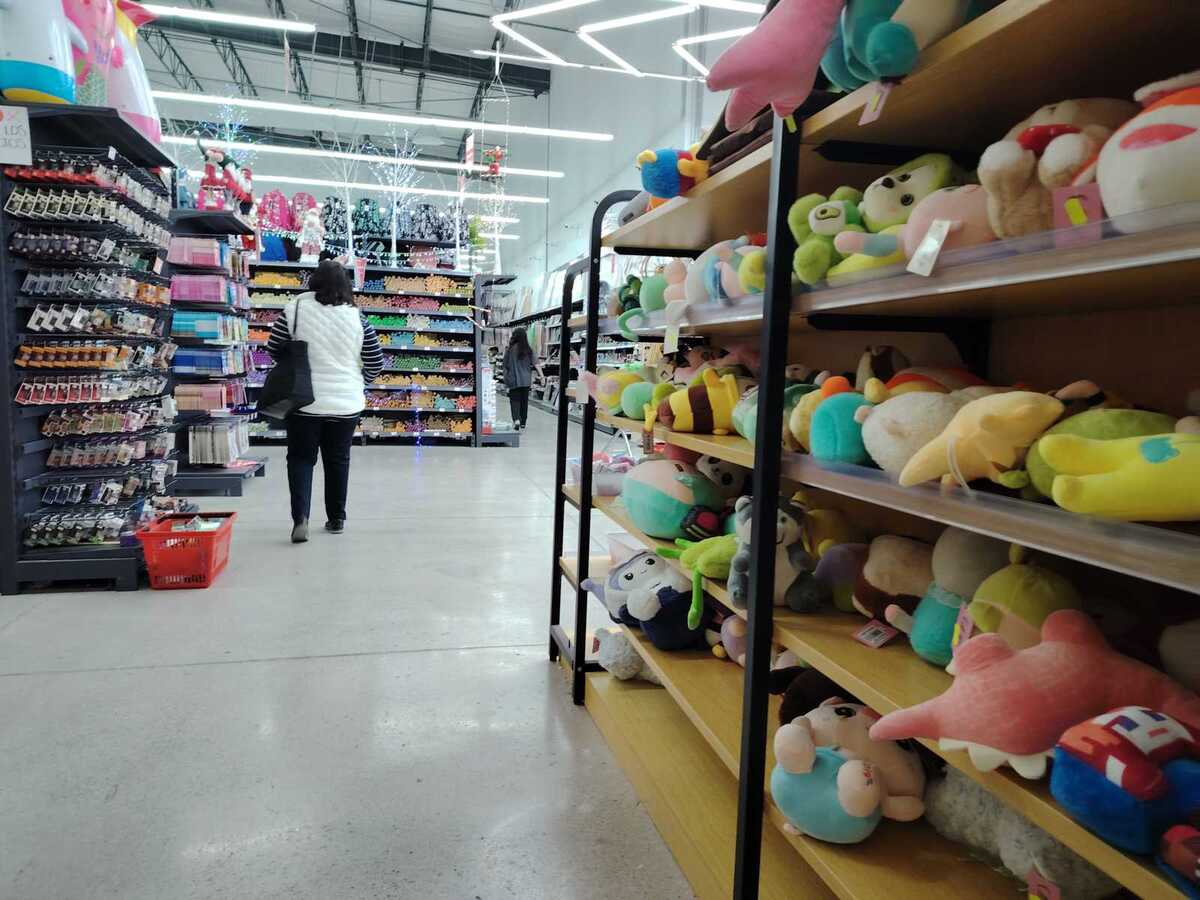 Aclaran que no es una discriminación o una situación étnica, sino en contra de las situaciones irregulares.| Verónica Rivera