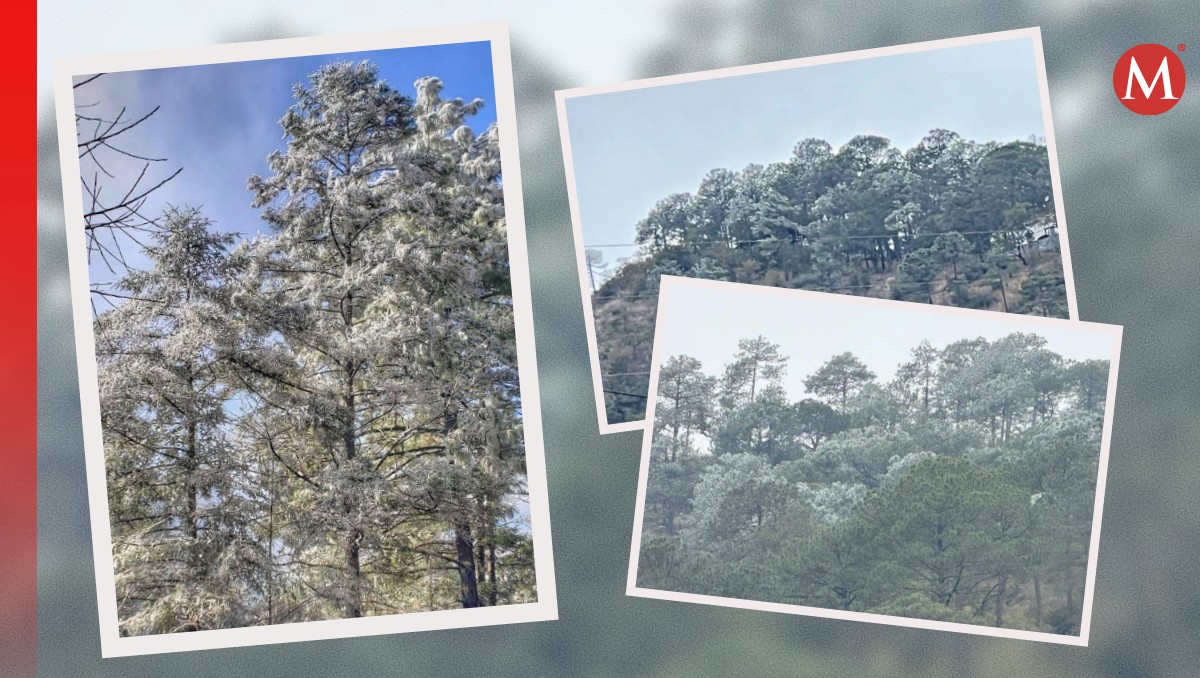 Habitantes de Santiago reportaron el paisaje blanco que comenzó a notarse este domingo por el nuevo frente frío / Especial