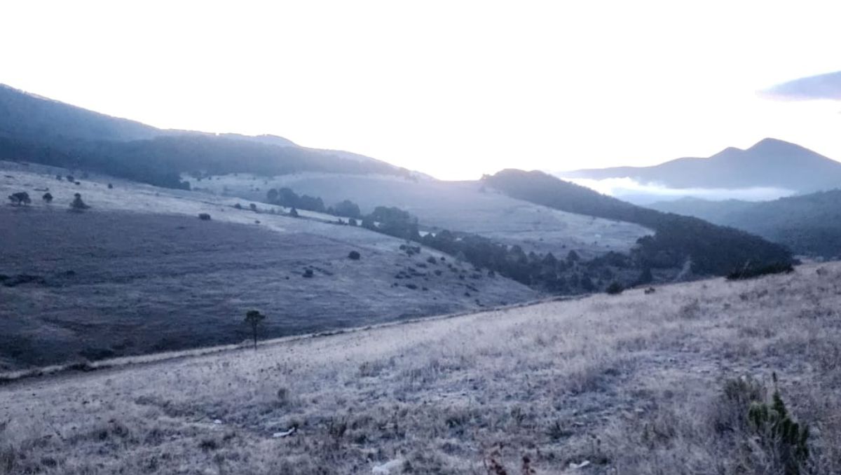 Galeana amaneció cubierta de hielo por la onda gélida / Especial.