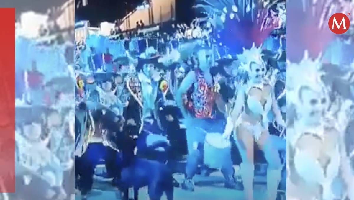 La agresión contra el lomito quedó grabada en video (Especial)
