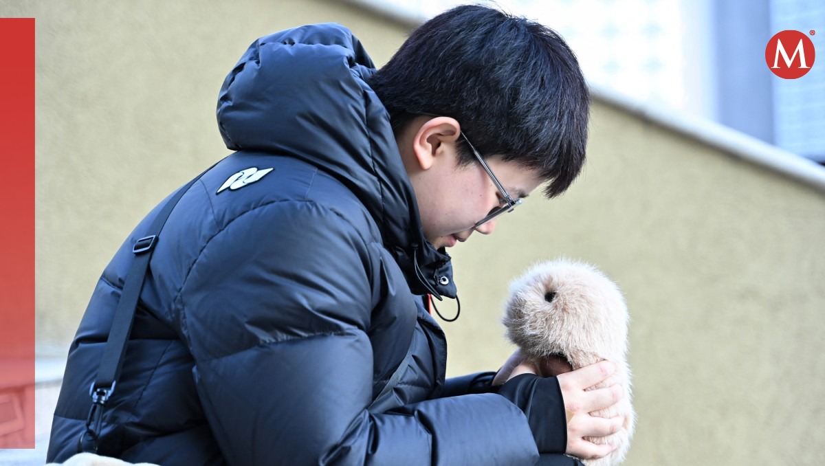 Jóvenes chinos buscan bienestar emocional en las mascotas con IA