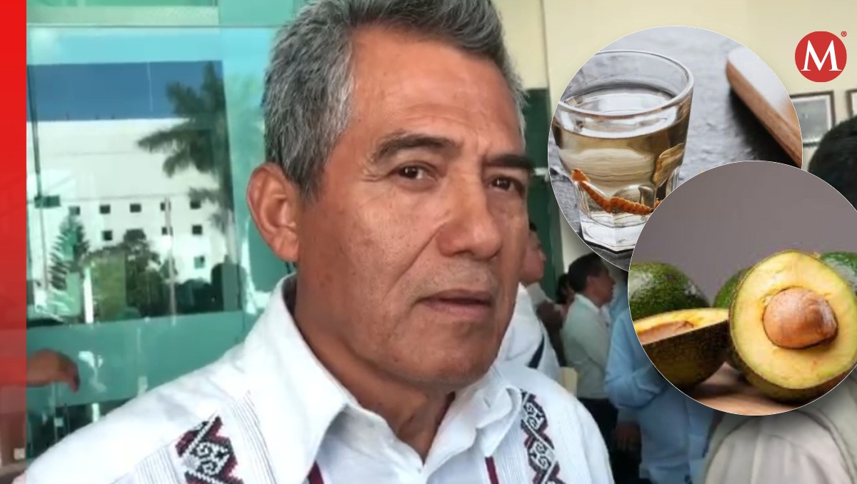 Oaxaca destaca su superávit comercial a pesar de las posibles nuevas tarifas impuestas por EU | Especial