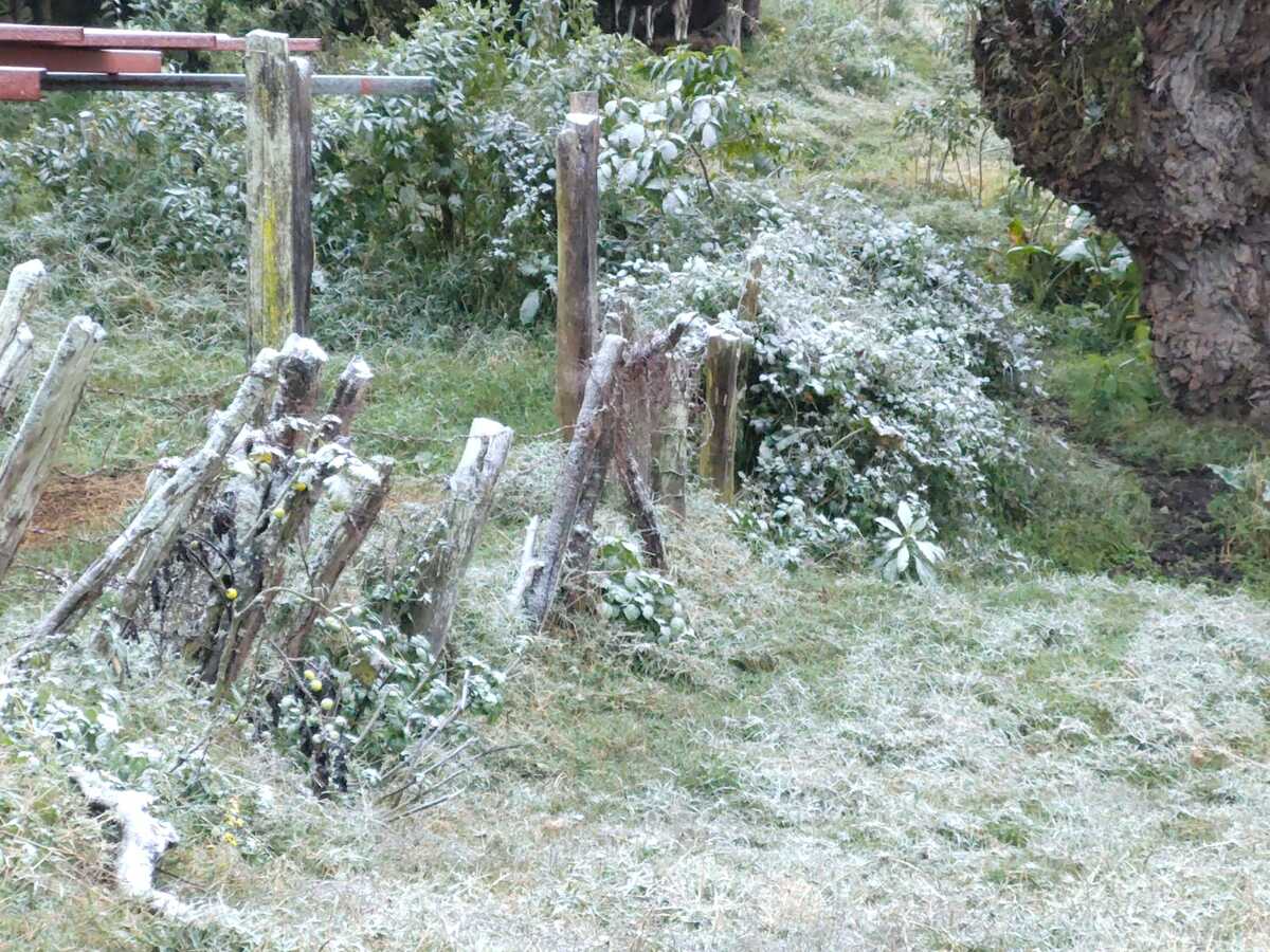 Bajas temperaturas en Hidalgo. (Cortesía)