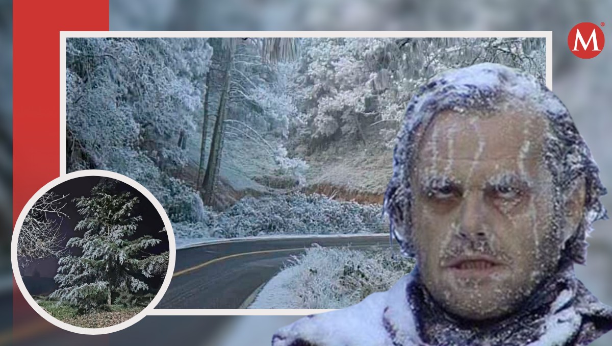 Cae nieve en Guanajuato | Especial