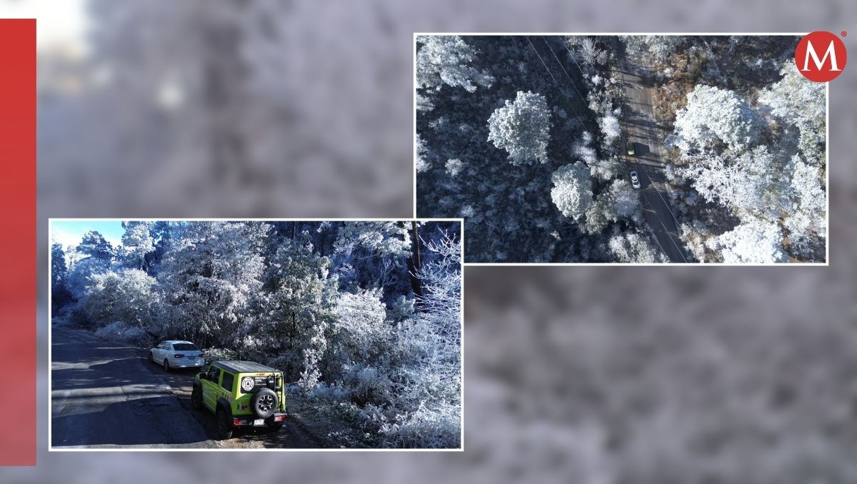La carretera a Laguna de Sánchez se cubrió de blanco por las frías temperaturas en Nuevo León. Especial