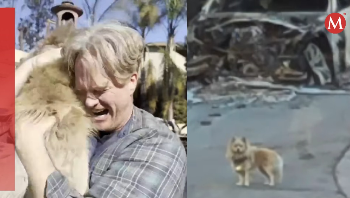 Hombre encuentra a su perrito que se perdió en los incendios de Los ángeles