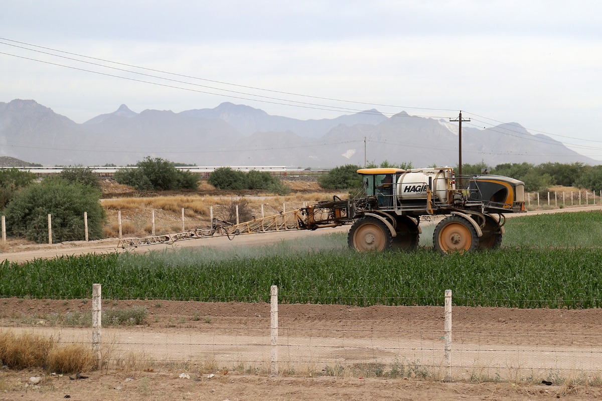 En Durango, zonas rurales destinan más agua al sector agropecuario. | Rolando Riestra