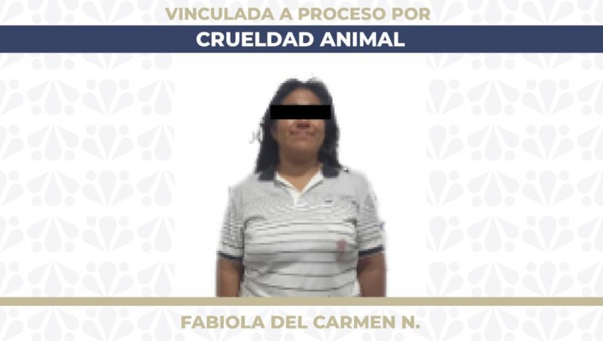 Vinculan a proceso a mujer que intentó apuñalar a un perro en Puebla | Especial