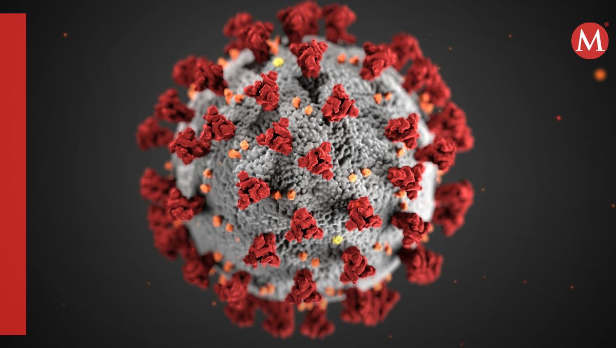 Aún hay un debate respecto al origen del virus que provocó la pandemia de covid-19 | CDC