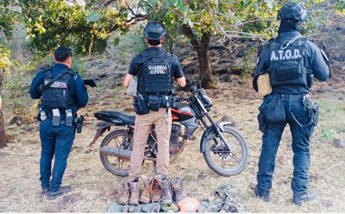 Desmantelan cinco 'narcocampamentos' en Michoacán. | Foto: Especial