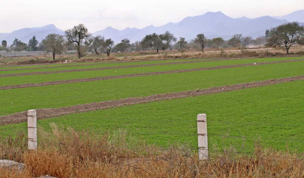 El objetivo es recuperar los campos dañados a través de la sustentabilidad.| Roberto Amaya