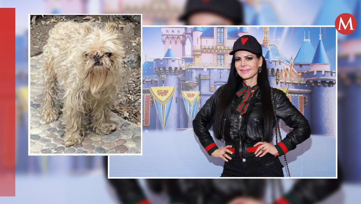 Los usuarios señalaron que el perrito de Maribel Guardia no recibía buenos cuidados.