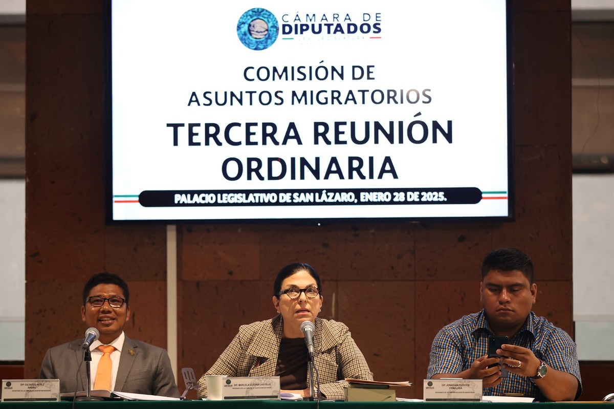 Comisión de Asuntos Migratorios en Cámara de Diputados | Especial