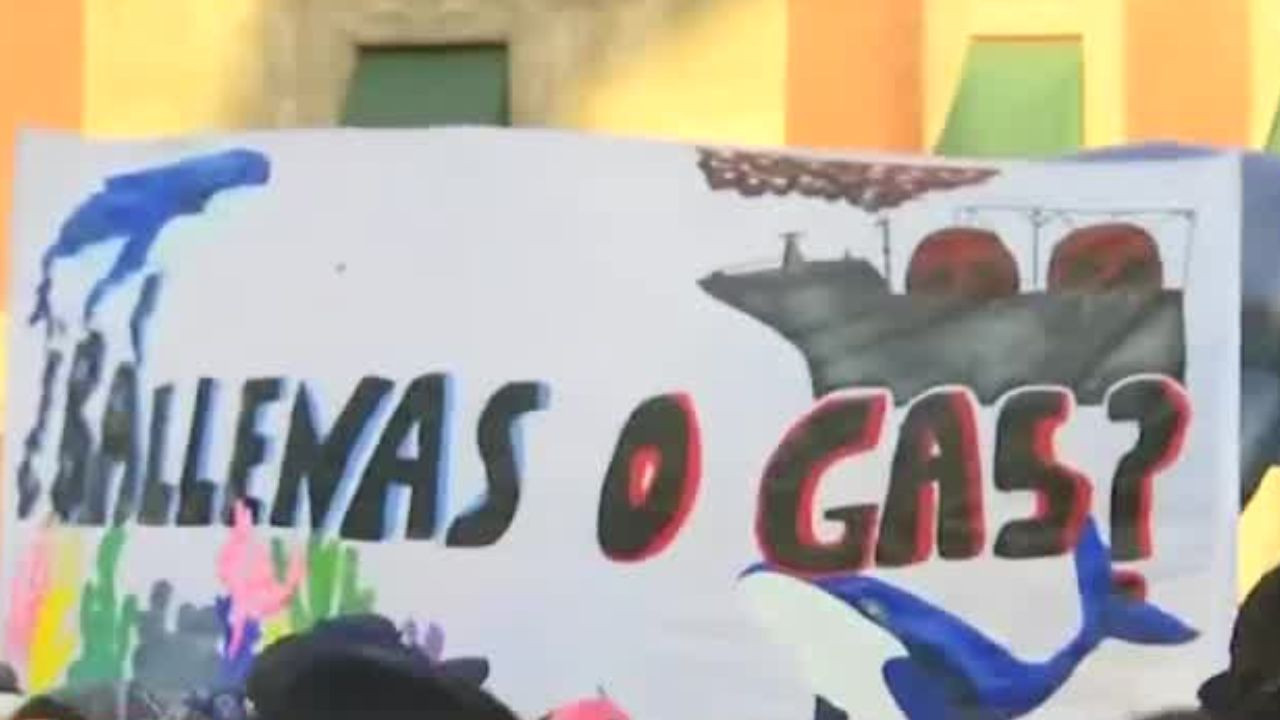 Marcha “Ballena o gas”: activistas se oponen contra el proyecto ‘Saguaro’ en CdMx