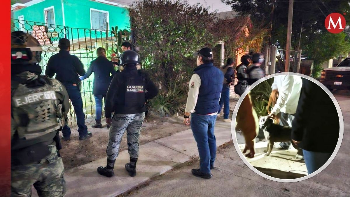 Las mascotas rescatadas serán resguardadas mientras se les encuentra un hogar. (Bienestar Animal Reynosa)
