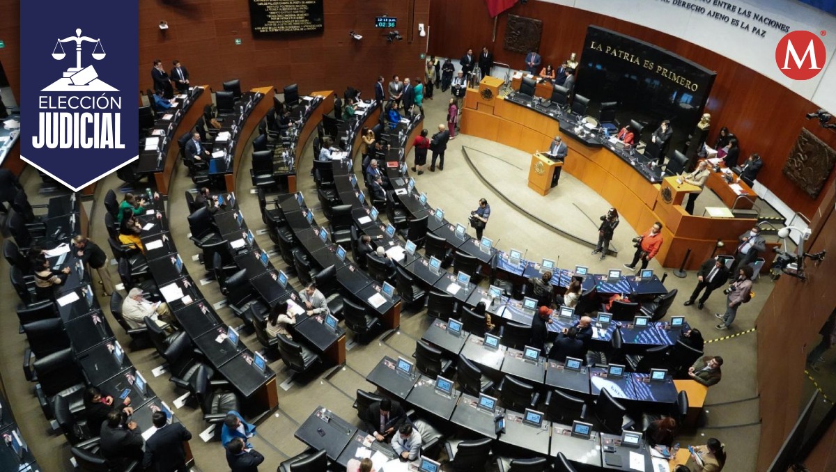 La BMA expresó su desacuerdo con la manera en la que el TEPJF instruyó al Senado acciones que corresponden al PJF. | Especial