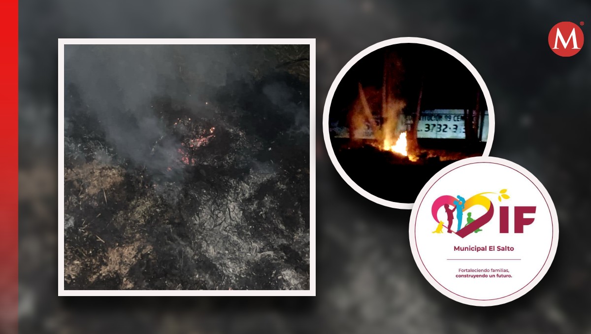 DIF El Salto acusa de incendio provocado en sus áreas verdes (Fotos: Facebook | Diseño: Milenio)