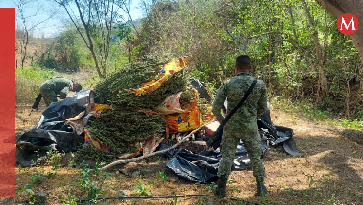 Toda la droga se encontraba escondida entre telas y loinas (Especial)