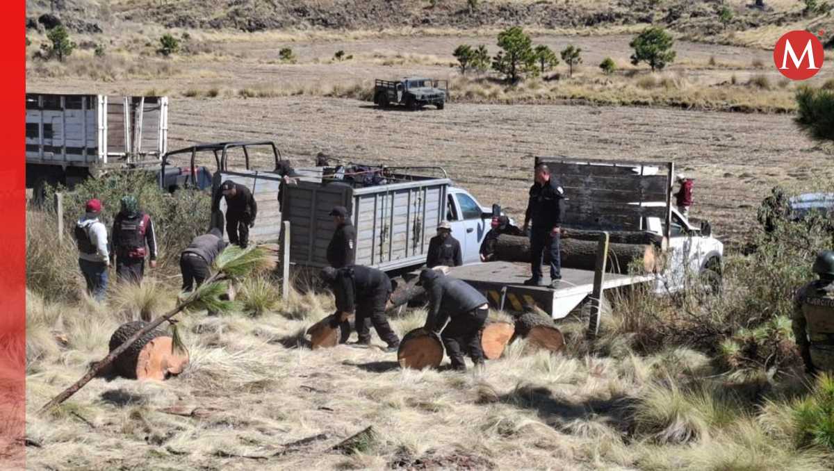 Ejército Mexicano y de la Guardia Nacional localizaron el material gracias a patrullajes terrestres. | Foto: especial