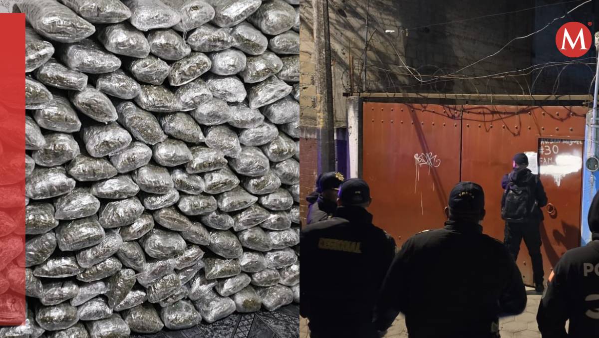 Las autoridades aseguraron aproximadamente 500 kilos de mariguana (Especial)