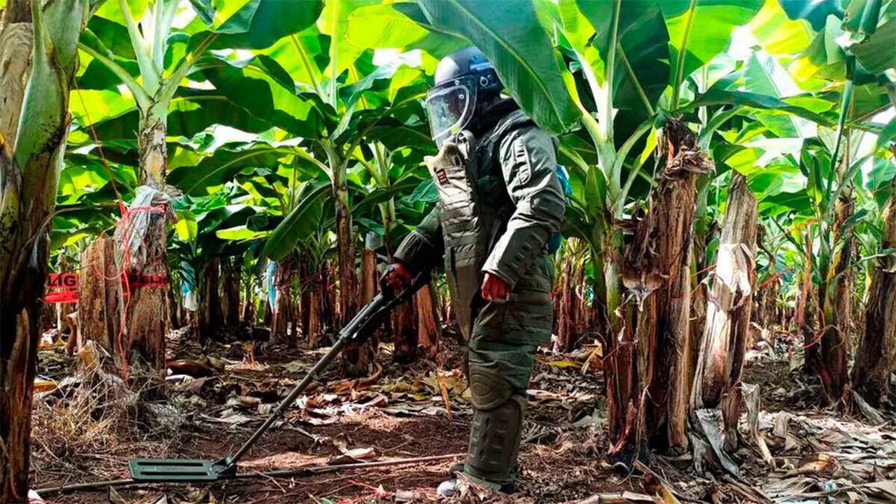 Defensa Nacional remueve 87 minas terrestres en la región de la Tierra Caliente de Michoacán