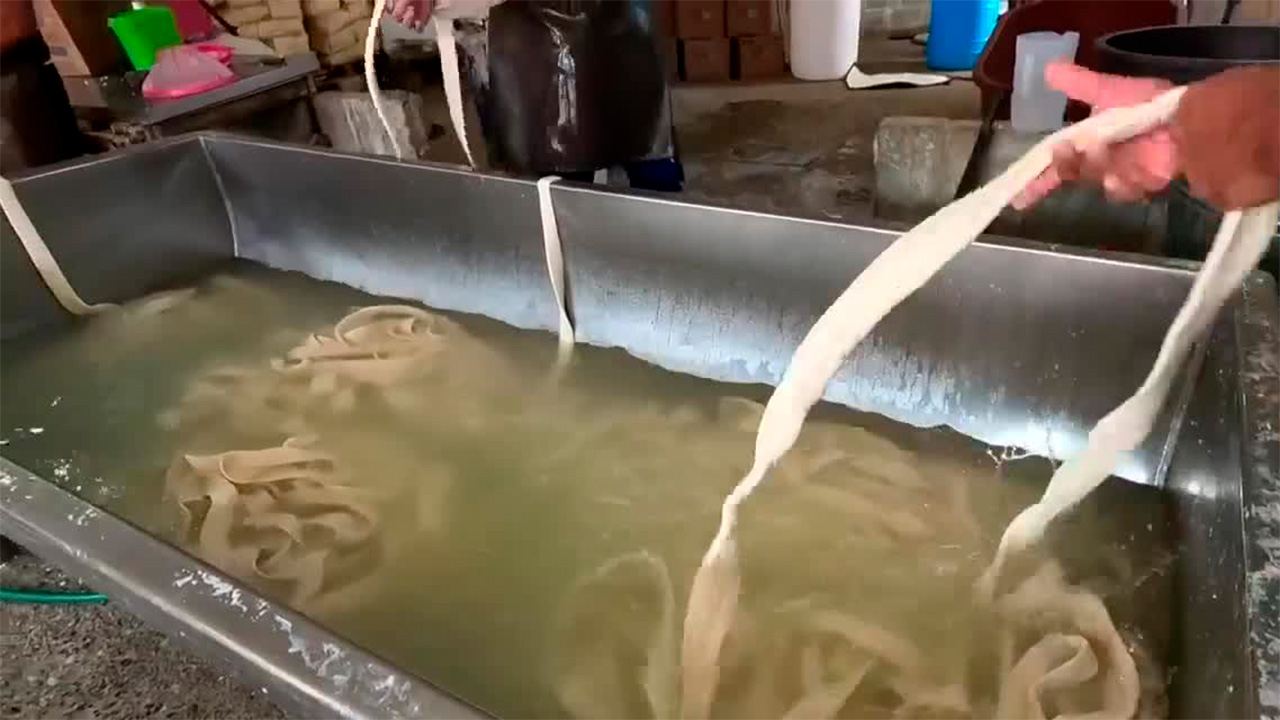 En Oaxaca, familia mantiene viva la elaboración artesanal del quesillo