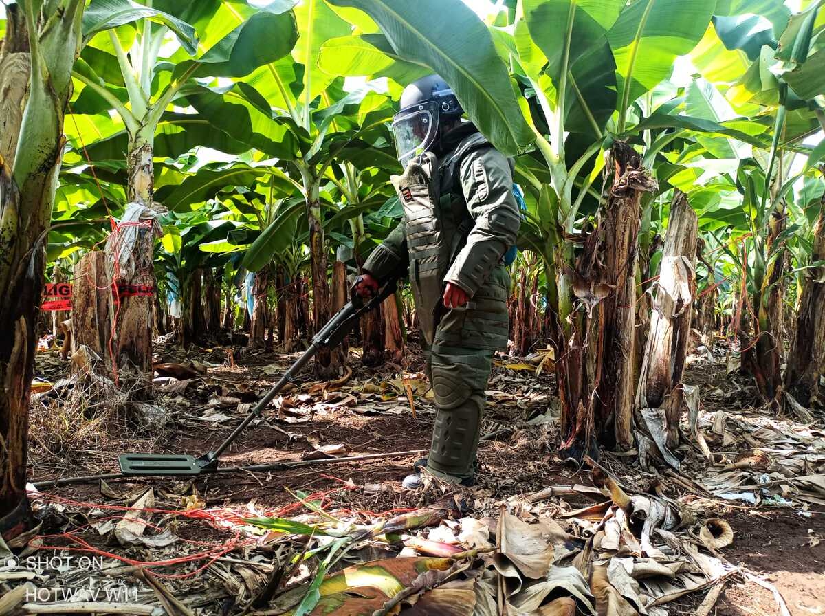 Personal especializado de la Defensa ha intensificado las labores para remover minas terrestres en Michoacán. | Especial