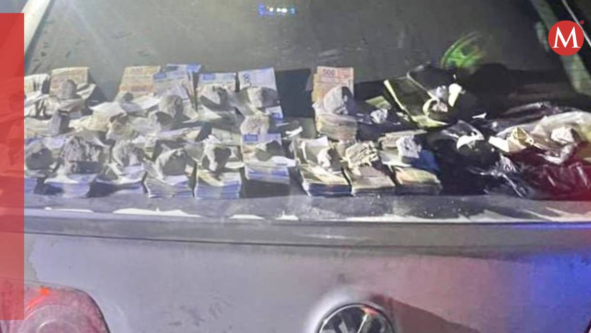 Autoridades detuvieron a un hombre en Temascaltepec, por robo de un millón de pesos. | Especial