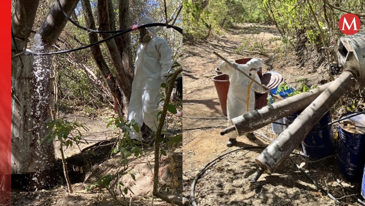 El Ejército localizó el laboratorio clandestino donde se encontraban las sustancias químicas (Especial)