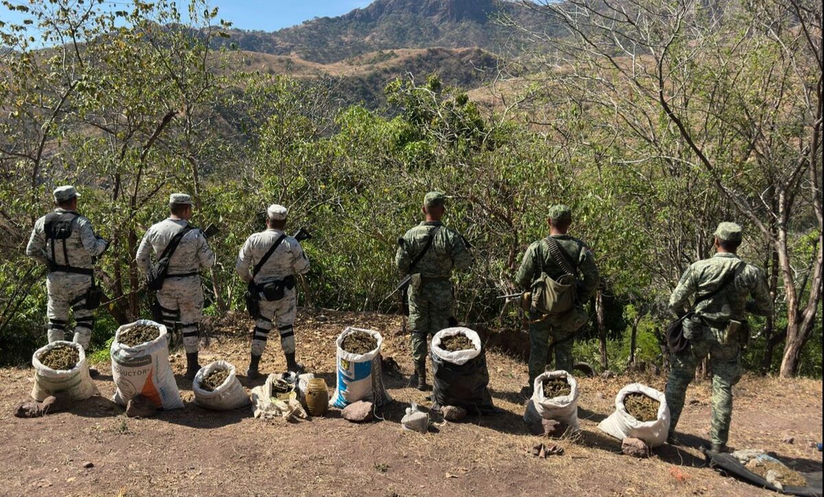 Hallan inmueble con droga en Edomex.