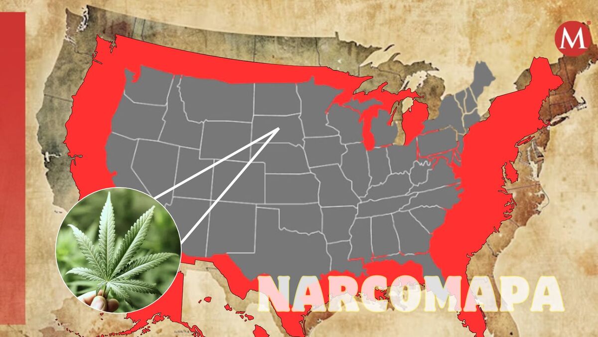 Narcomapa de EU: Estas son las organizaciones que operan en el territorio (Diseño: Rafael Mejía).
