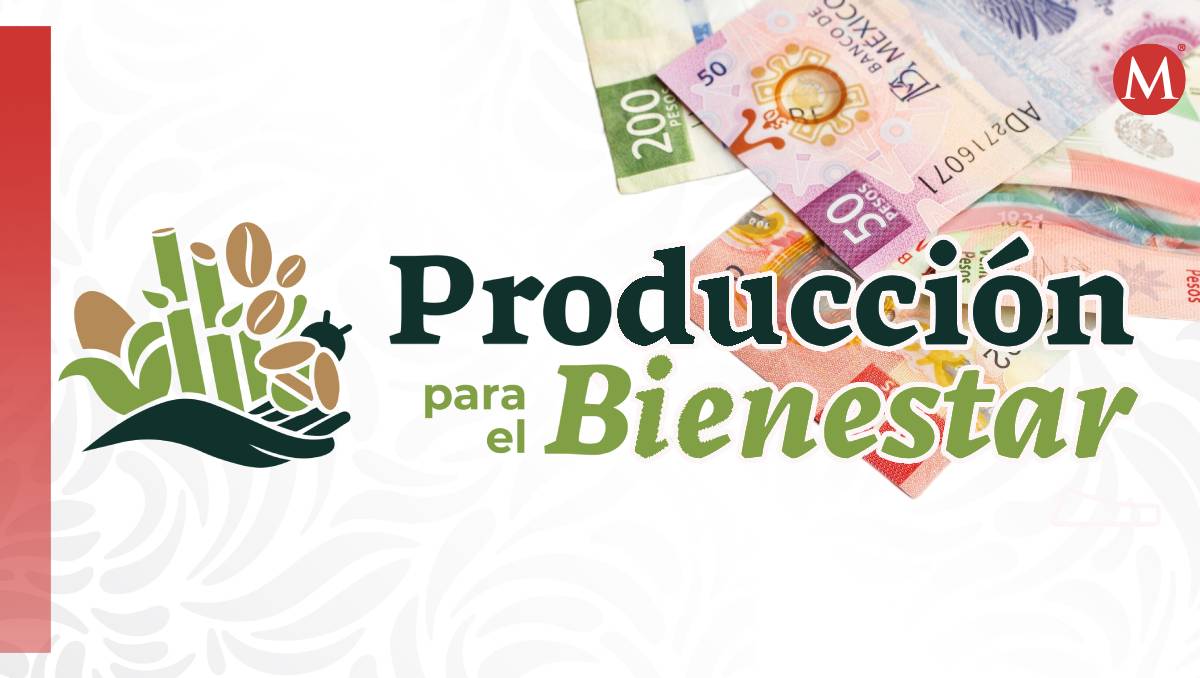 El programa Producción para el Bienestar apoya con incentivos para fortalecer un sector específico de México | Especial