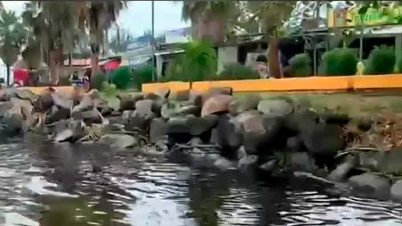 En Veracruz, pescadores clausuran oficinas de Profepa tras derrames de hidrocarburo en río