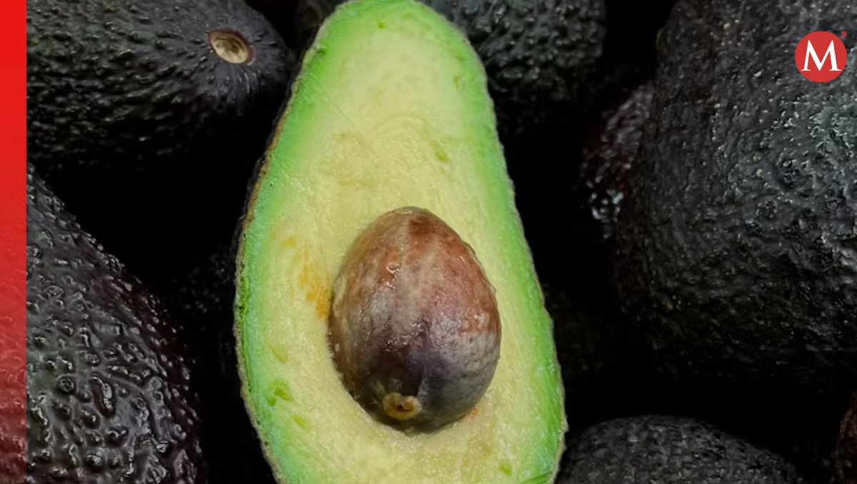 El aguacate en Michoacán es la segunda mayor fuerte de ingresos. | Foto: unsplash