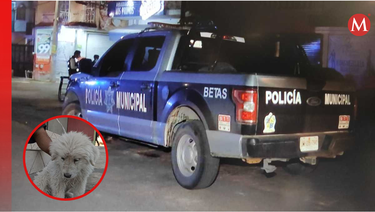 Elementos de la Policía de Tlaquepaque acudieron al rescate de un perrito que era maltratado (Fotos: Dalia Rojas y JC Munguía)