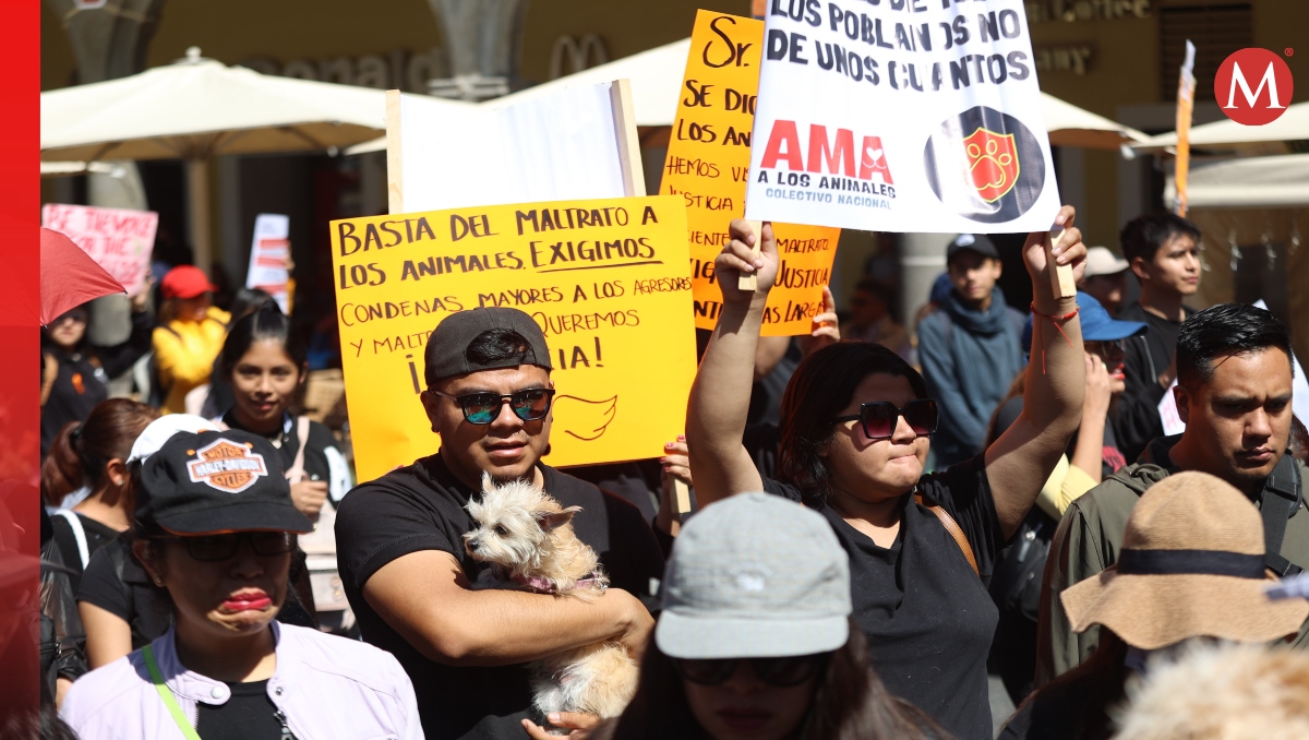 Colectivos se manifiestan en contra del maltrato animal en Puebla | EsImagen