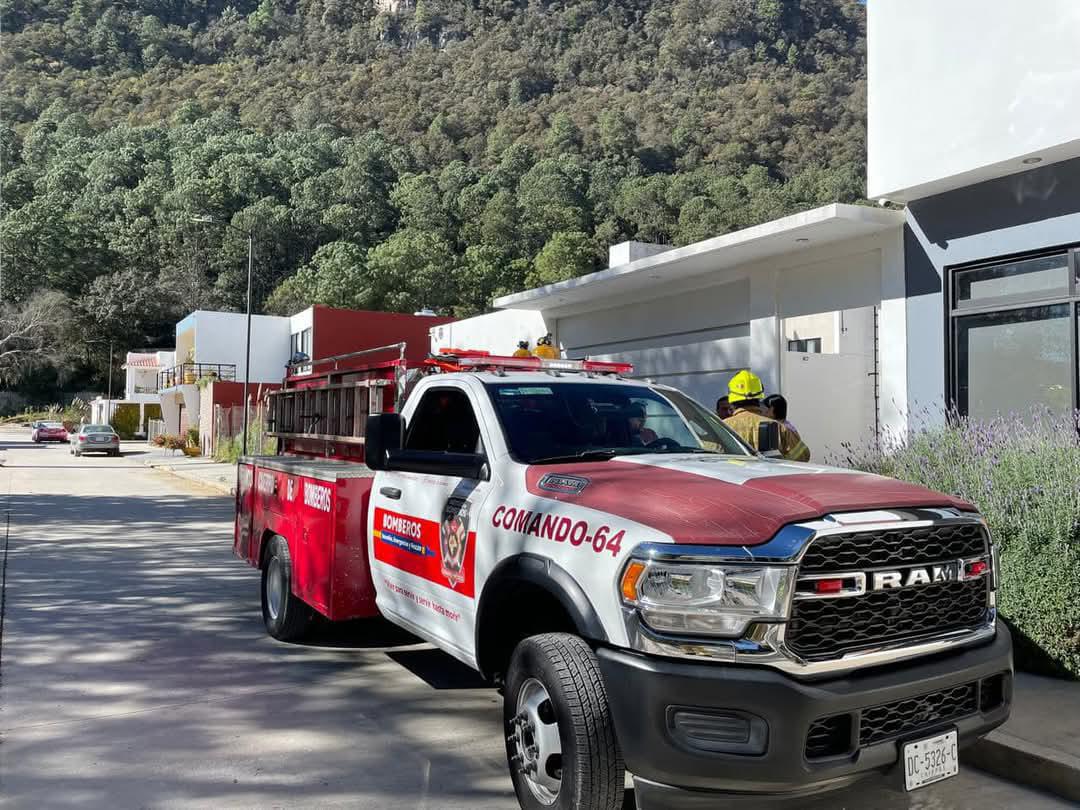 Personal del Cuerpo de Bomberos resguardó los tres ejemplares de mono araña. | Especial
