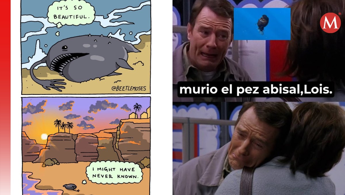 Los mejores memes por vista del Pez Diablo en superficie del Océano