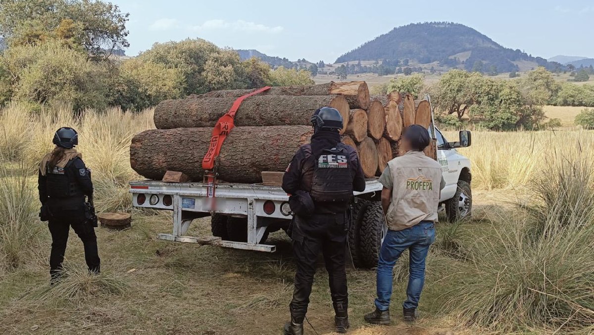 En el operativo de aseguramiento de aserraderos participaron 101 elementos de seguridad. Foto: (Especial)