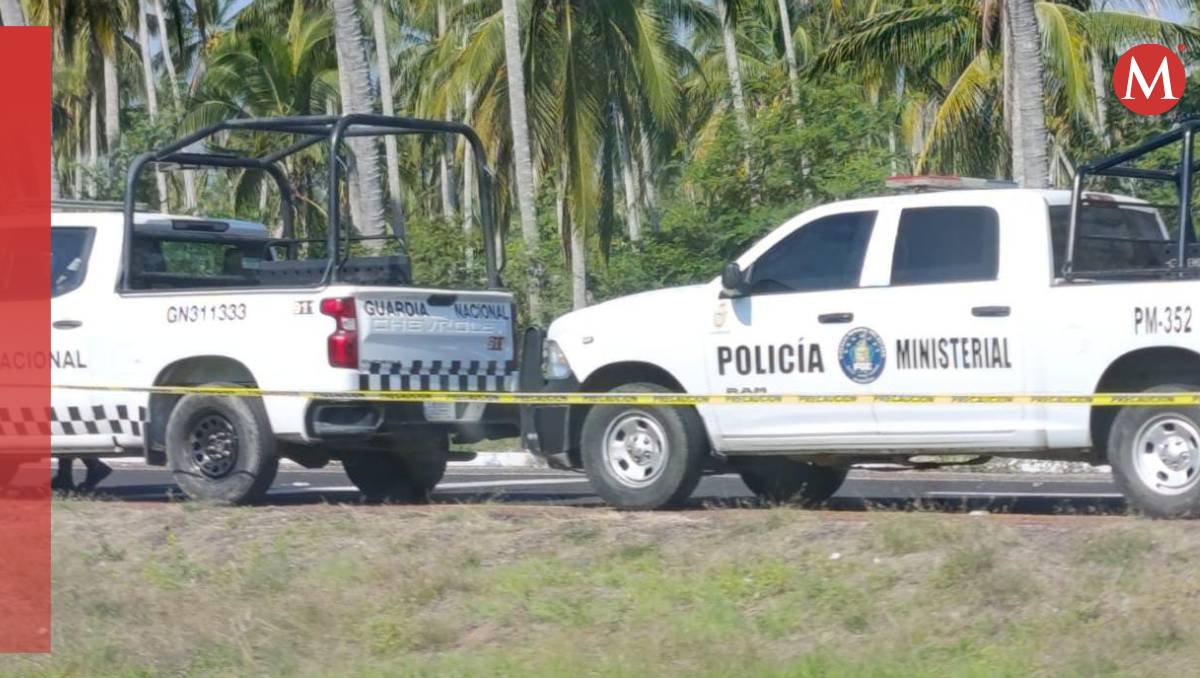 El ataque ocurrió a la altura del Viaducto Metlapil, en la zona del Acapulco Diamante (Especial)