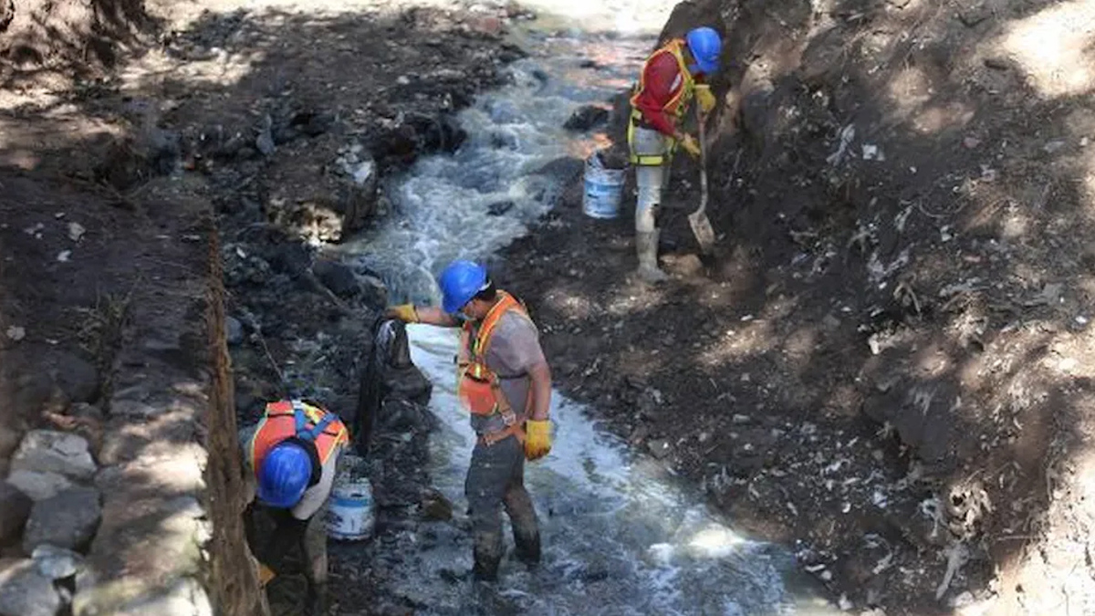CNBV obligará a empresas en mercados bursátiles a certificar sustentabilidad