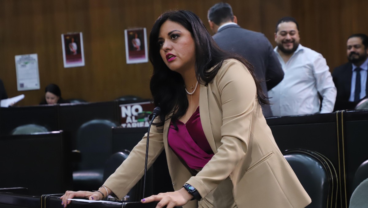 Itzel Castillo, diputada del PAN. Foto: Especial