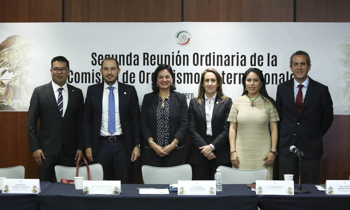 Comisión de Organismos Internacionales dialoga con SRE sobre política exterior. | Foto: Especial